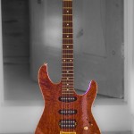 Schecter Hollywood Custom Ltd 1996